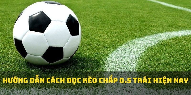 Hướng dẫn cách đọc kèo chấp 0.5 trái hiện nay