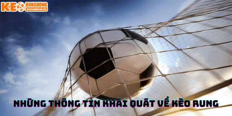 Những thông tin khái quát về kèo rung