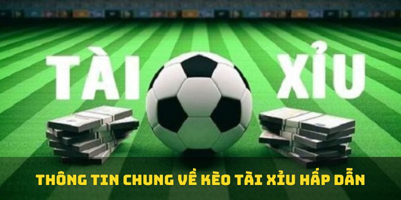 Thông tin chung về kèo tài xỉu hấp dẫn