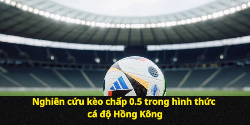 Nghiên cứu kèo chấp 0.5 trong hình thức cá độ Hồng Kông