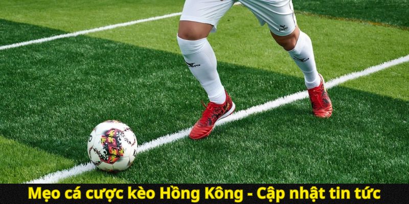 Mẹo cá cược kèo Hồng Kông - Cập nhật tin tức